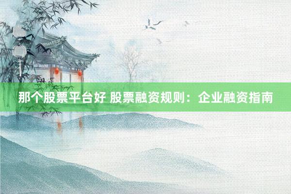 那个股票平台好 股票融资规则：企业融资指南