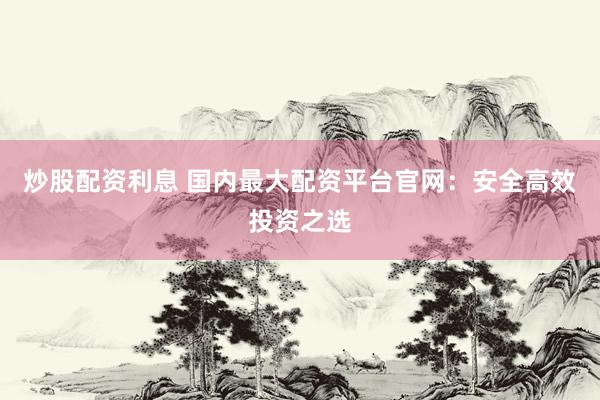 炒股配资利息 国内最大配资平台官网：安全高效投资之选