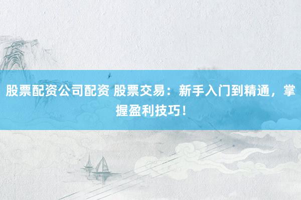 股票配资公司配资 股票交易：新手入门到精通，掌握盈利技巧！