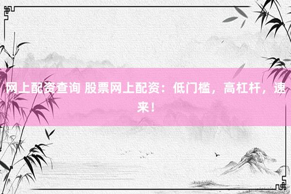 网上配资查询 股票网上配资：低门槛，高杠杆，速来！