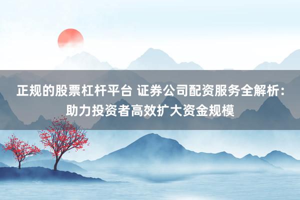 正规的股票杠杆平台 证券公司配资服务全解析：助力投资者高效扩大资金规模