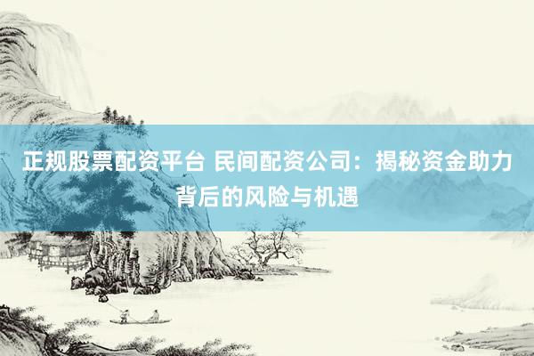 正规股票配资平台 民间配资公司：揭秘资金助力背后的风险与机遇