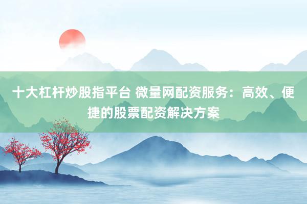 十大杠杆炒股指平台 微量网配资服务：高效、便捷的股票配资解决方案